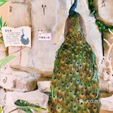 深圳春游一定要打卡的好去处——茱莉动物乐园