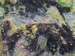 -那香海钻石沙滩浴场