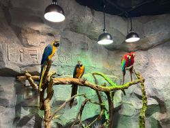 -Zoolung Zoolung动物主题公园(海信广场店)