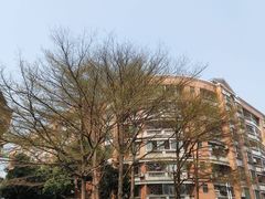 -阿三麻蓉汤圆(顺光大厦店)