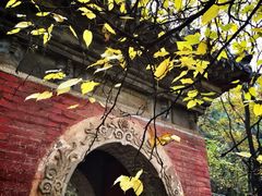 上方山国家森林公园-北京上方山国家森林公园