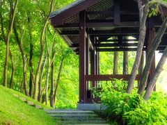 -深圳国际园林花卉博览园