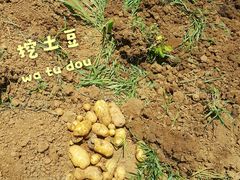 -武汉开心果园农业发展有限公司