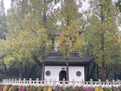 -汇龙潭