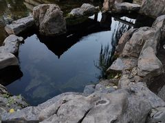 -山东博物馆