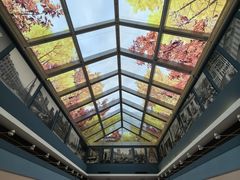 -上海市第一人民医院(松江南部)