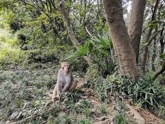 -苏州上方山国家森林公园