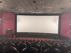 -AMG海上明珠影城(上海环球港RealDCinema店)