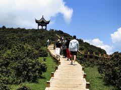 -乌蒙大草原