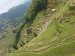 -紫鹊界梯田景区