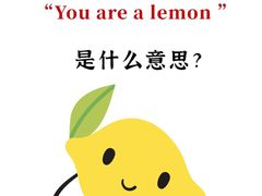 -新航道雅思托福·留学·考研培训(人民广场校区)