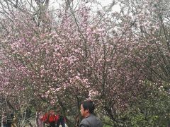 -堤角公园