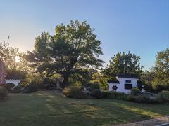 -东湖落雁景区