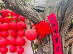 -单家老院·院子里的青岛菜(沙子口店)