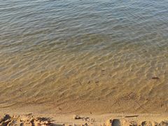 -济南国际园博园