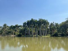 -中国科学院西双版纳热带植物园