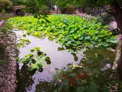 -北京民族园葉子里酒店(鸟巢店)