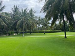 -海南清水湾莱佛士酒店