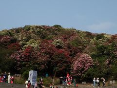 -贵州百里杜鹃风景名胜区