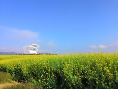 -光明小镇欢乐田园