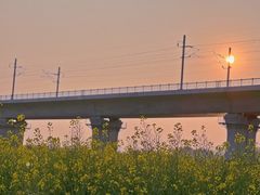 -光明小镇欢乐田园