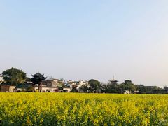 -广富林郊野公园