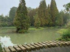 -桤木河湿地公园