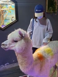-未来动物城主题公园(正弘城店)