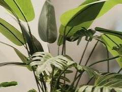 -兰湘子·湘菜小炒(石家庄万象城店)