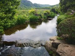 -中国茶叶博物馆(双峰馆区)