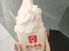 -野人先生现做冰淇淋(北京王府井东方新天地店)