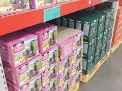 -山姆会员商店(亦庄创意生活广场店)