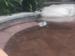 -碧水湾温泉