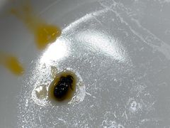 -海底捞火锅(龙岗星河COCO Park店)