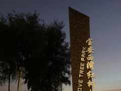 -宝安西湾红树林湿地公园