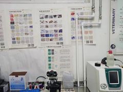 -利又安动物医院··老年病·猫科犬科·中兽医