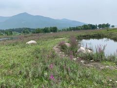 -白草畔自然风景区