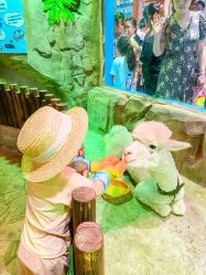 -宝燕乐园(闵行旗舰店)