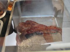 -鑫记婆婆兔·兔头(春熙店)