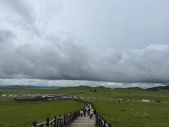 -御道口草原森林风景区