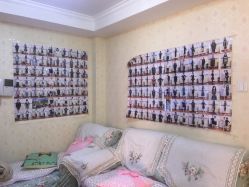 -维纳斯专业减肥