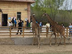 -鄂尔多斯野生动物园