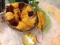活海胆-炙柒Sekinana·精致料理 烧鸟·铁板烧(海上世界店)