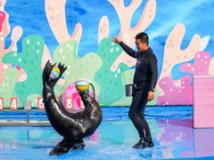 -北戴河圣蓝海洋公园