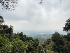 -火炉山森林公园