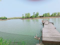 -泗洪洪泽湖湿地景区