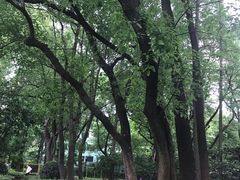 -徐家汇源景区-衡山公园