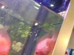 -西西弗书店&矢量咖啡(万象城店)