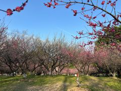 -采石矶景区