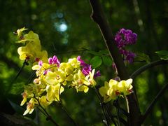 -白鹭湾湿地公园